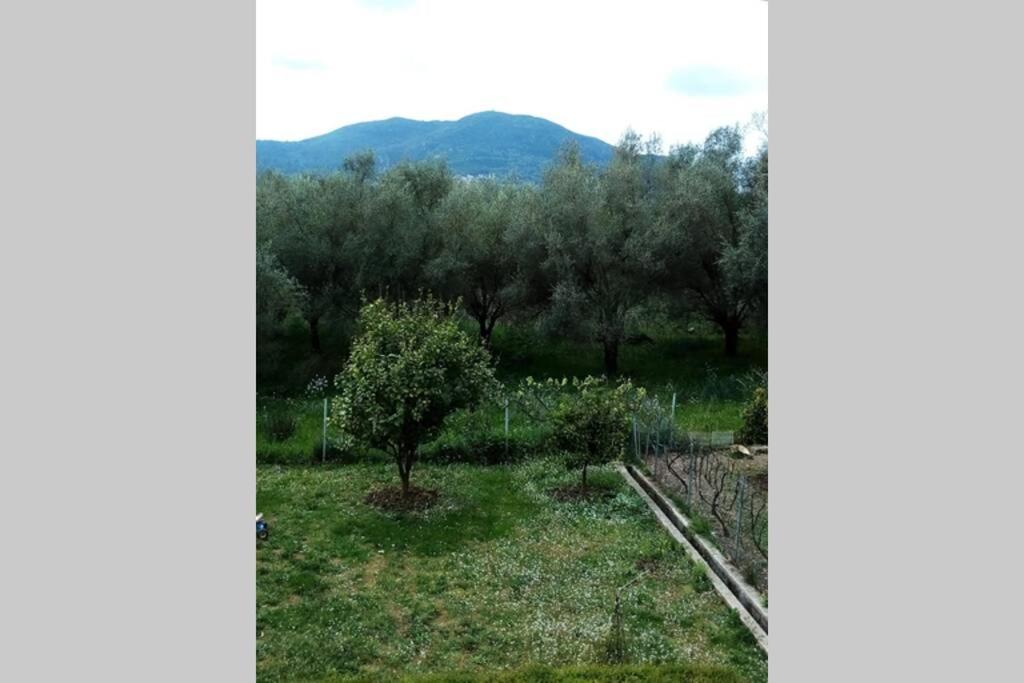 Υπεροχη Διαμονη... Achílleion Esterno foto